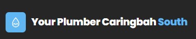 Your Plumber Caringbah South